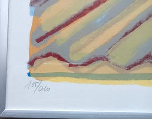 Willem Brauck - Goudvloed kopen? Bied vanaf 25!