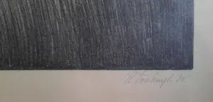 Henk Voskuyl - Originele in 1930 Gesigneerde litho "Duin en Zee" Henk Voskuyl kopen? Bied vanaf 1!