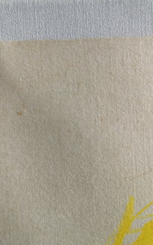 Anton Heyboer - Lady woman with long rope kopen? Bied vanaf 35!