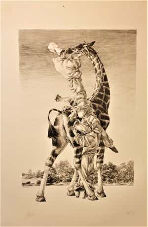 Peter Vos - Gevoelens verkocht voor € 50!