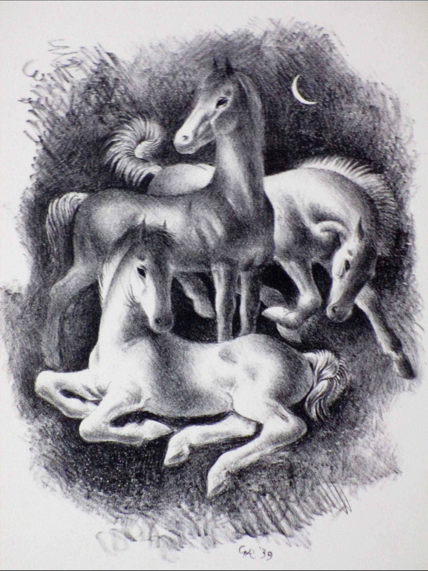 Ge Roling - Veulens - Litho verkocht voor € 1!