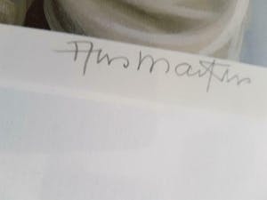 Ans Markus - Tweelingen, prachtig gelijst! kopen? Bied vanaf 170!