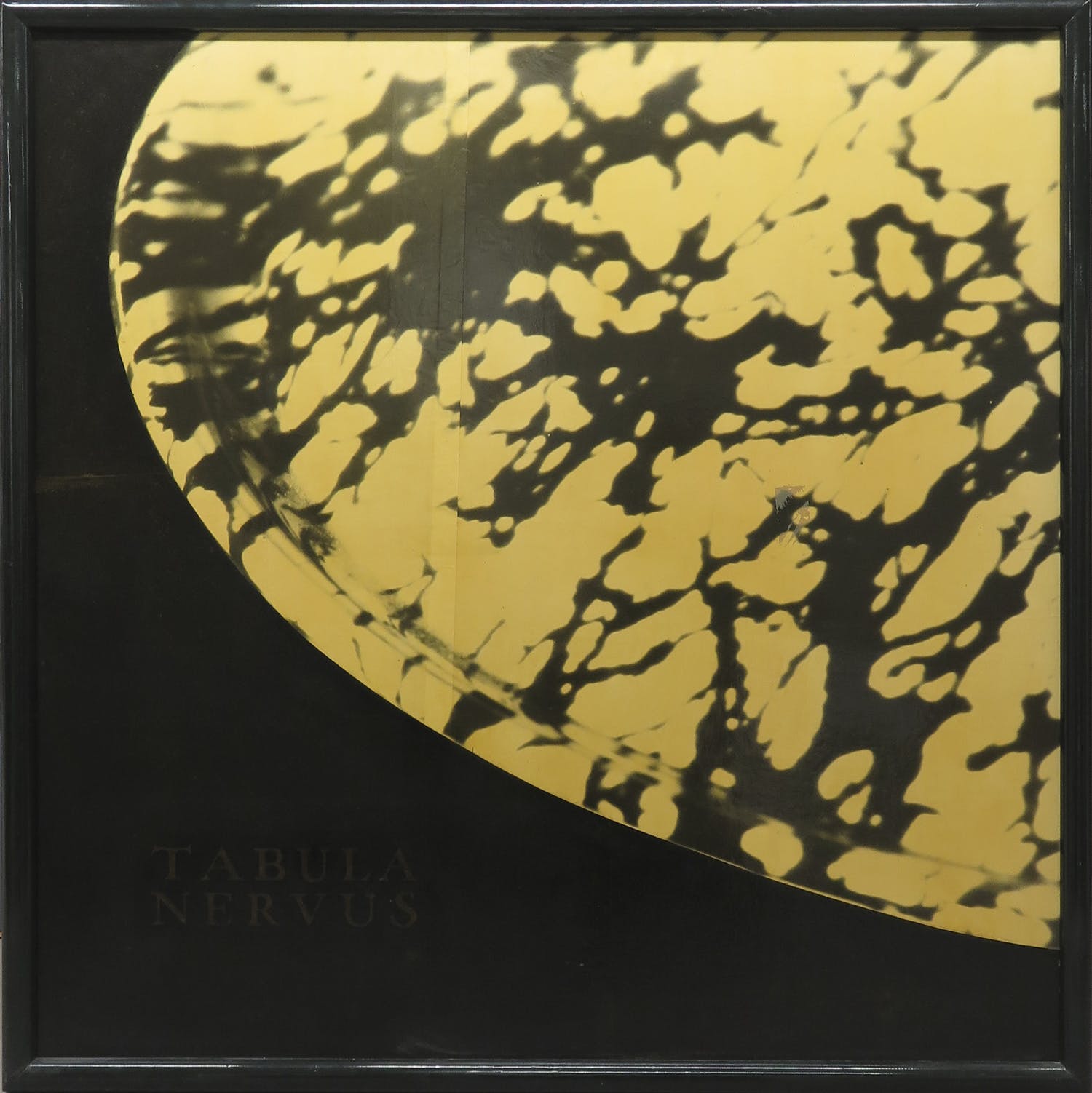 Ton van Summeren (1953-2017)