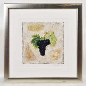 Starlie Sokol-Hohne - Druiventros kopen? Bied vanaf 1!