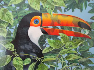 Ari Stolk - REUZENTOEKAN - Ramphastos Toco kopen? Bied vanaf 339!