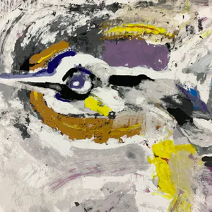 Nico Molenkamp - Vogel kopen? Bied vanaf 38!