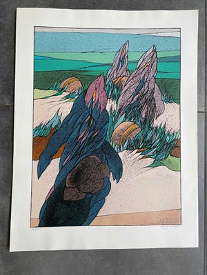 Wolff Buchholz - Zeefdruk - Nr 595 - Bergen kopen? Bied vanaf 25!