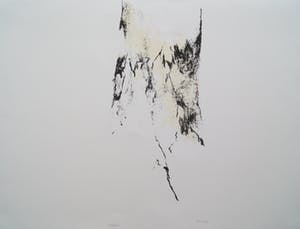 Armando - litho ‘Der Baum’ – 1988 – oplage 228/300. kopen? Bied vanaf 350!