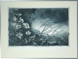 Jurgen Grenzemann - Kleurenets, Zonder Titel - Ingelijst kopen? Bied vanaf 1!