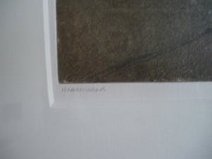 Wim van der Veer - dorp Idaard (Friesland) kopen? Bied vanaf 40!