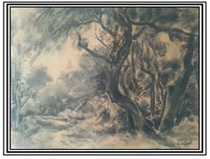 Arnout Colnot - Bergerbos kopen? Bied vanaf 275!