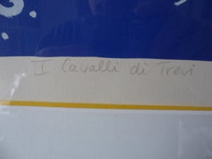 Shunyam - Zeefdruk, I cavalli di trevi - Ingelijst. kopen? Bied vanaf 90!