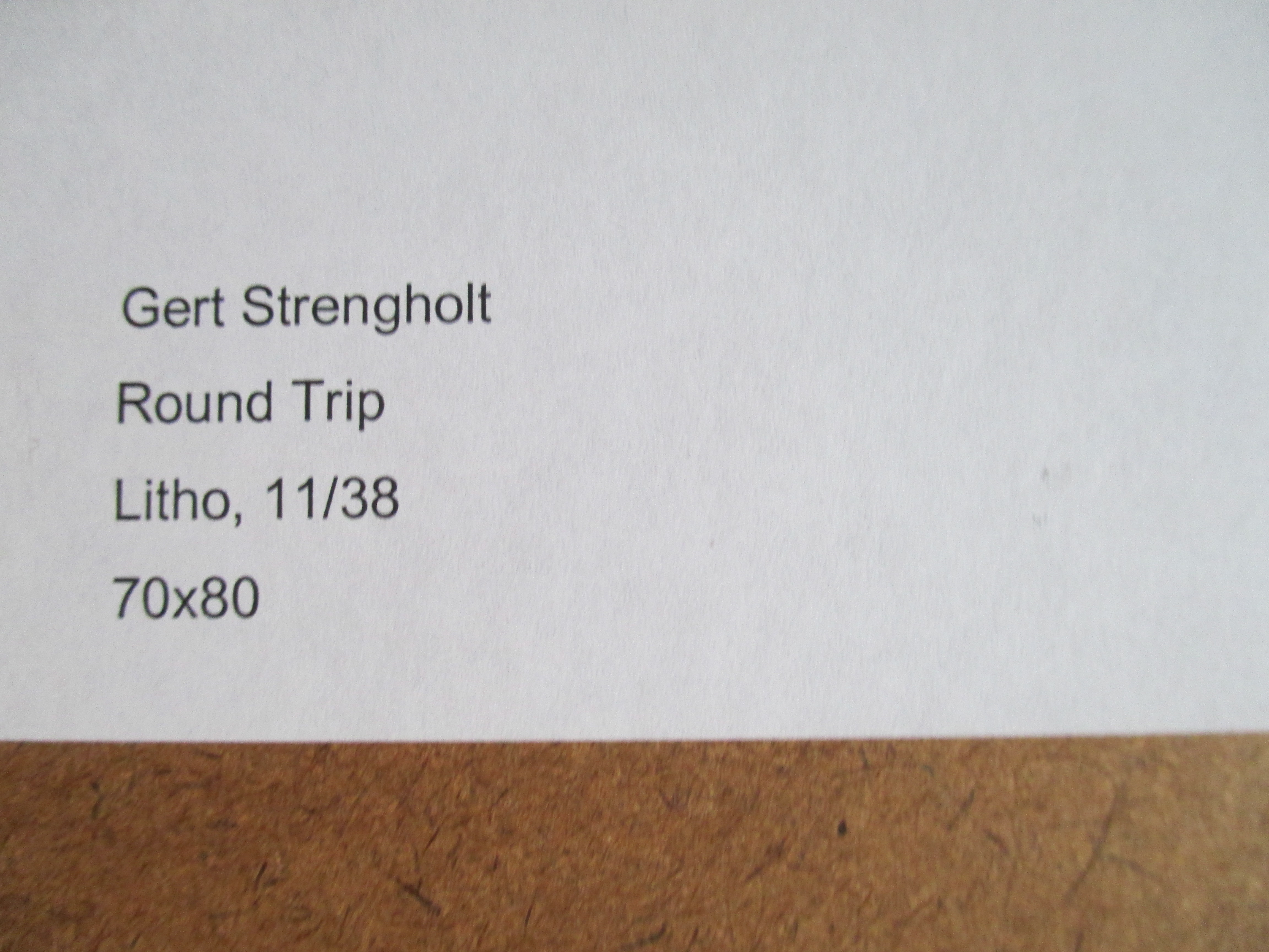 Gert Strengholt - Ingelijste Litho 'Round Trip" Barth lijst kopen? Bied vanaf 55!