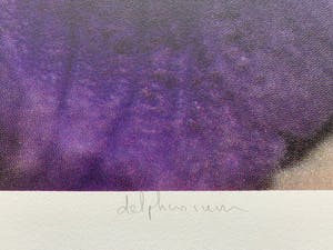 Marc Mulders - kleurendruk - 'Delphinium' - 2010 kopen? Bied vanaf 240!