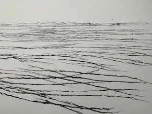 Willem den Ouden - litho De Waal 1991 nummer V/X kopen? Bied vanaf 79!