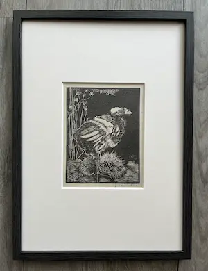 Jan Mankes - Originele Heliogravure - Nestkuiken 1927 kopen? Bied vanaf 95!