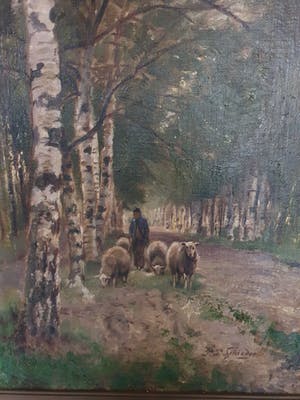 Petrus Paulus Schiedges Sr. - Man met schapen kopen? Bied vanaf 800!