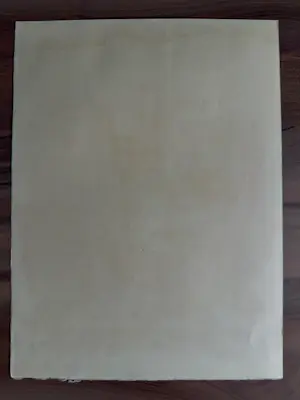 Maurice Elie Sarthou - Lithographie originale illustrant les écrits d'Arthur Rimbaud kaufen? Bieten Sie von 85!