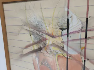 Jan Martens - Ontaarding kopen? Bied vanaf 30!