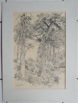 Adrianus Miolee - Duinlandschap met dennen kopen? Bied vanaf 45!