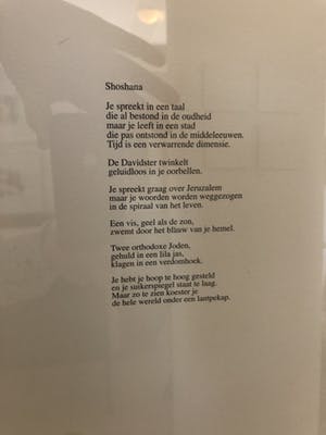 Katrien Caymax - Shoshana kopen? Bied vanaf 10!