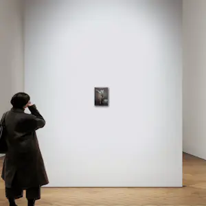 Erwin van Krey - Gymnast kopen? Bied vanaf 250!