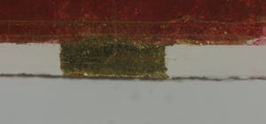 Bea Verheul - Gemengde druktechniek op papier, Ginghobiloba - Ingelijst (Groot) kopen? Bied vanaf 1!