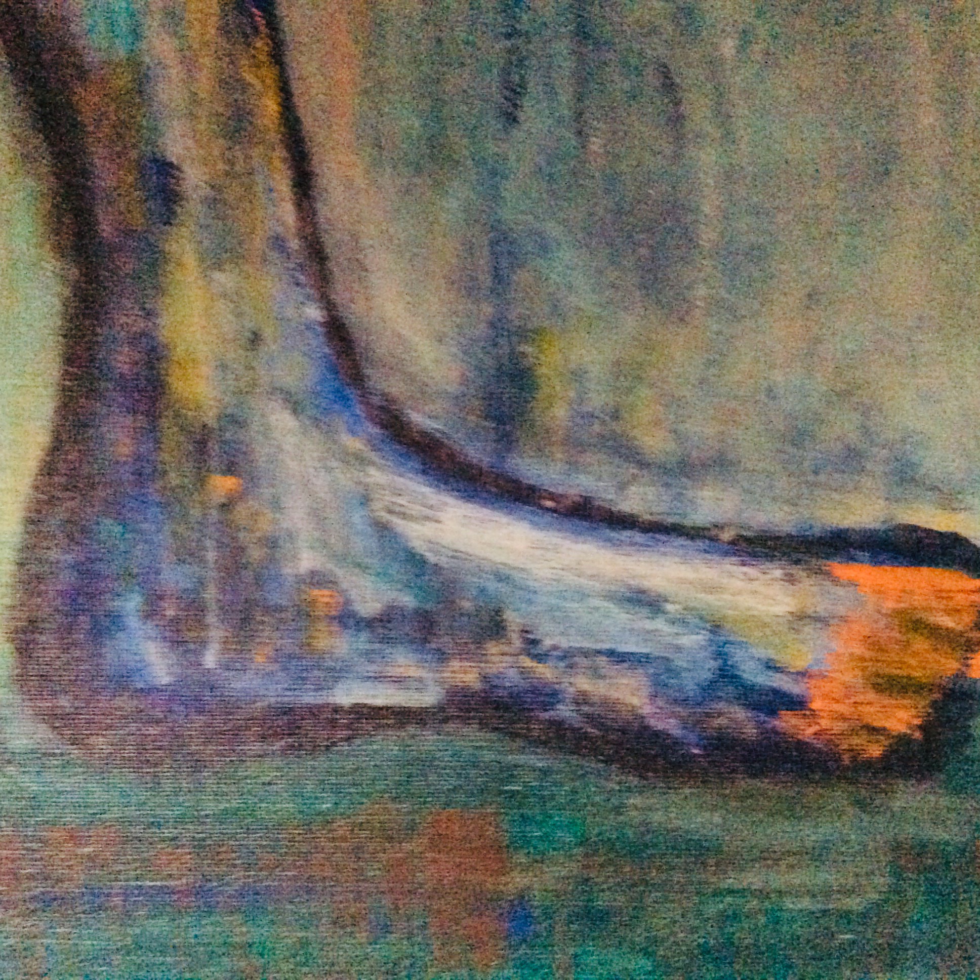 John van 't Slot - Paard kopen? Bied vanaf 950!