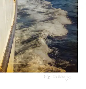 Mr Strange - Antarctica kopen? Bied vanaf 80!