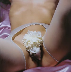 Cornelie Tollens - C-Print, L'amour est classique - Ingelijst kopen? Bied vanaf 1!