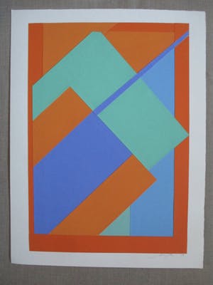 Sonja Vincent-Nienhuis - Collage kopen? Bied vanaf 35!
