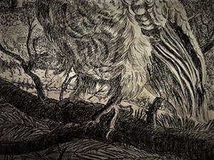 Niet of onleesbaar gesigneerd - Fraaie realistische rond 1920 te dateren Oostindische Inkttekening "Uil op tak" kopen? Bied vanaf 10!