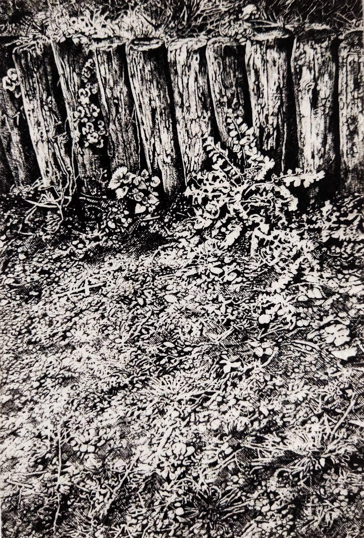 Ton de Laat - Grondje verkocht voor € 40!