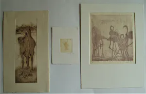 Anna Jeretic - 'Dieren' kopen? Bied vanaf 65!