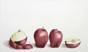 Niet of onleesbaar gesigneerd - Aquarel, Appels kopen? Bied vanaf 1!