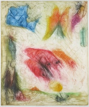 Sam Parabirsingh - Kleurenets, Celestial Freedom - Ingelijst kopen? Bied vanaf 40!