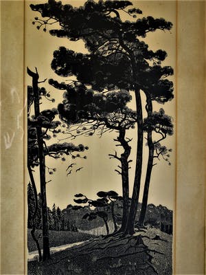 Jan Veringa - "Meester van het Coulissenperspectief" - grote Houtsnede - kleine oplage - gesig kopen? Bied vanaf 26!