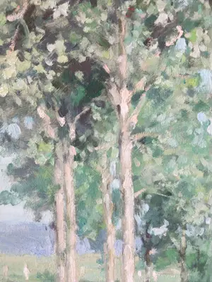 Anneke Boot - Zonnig heidelandschap met bomen kopen? Bied vanaf 180!