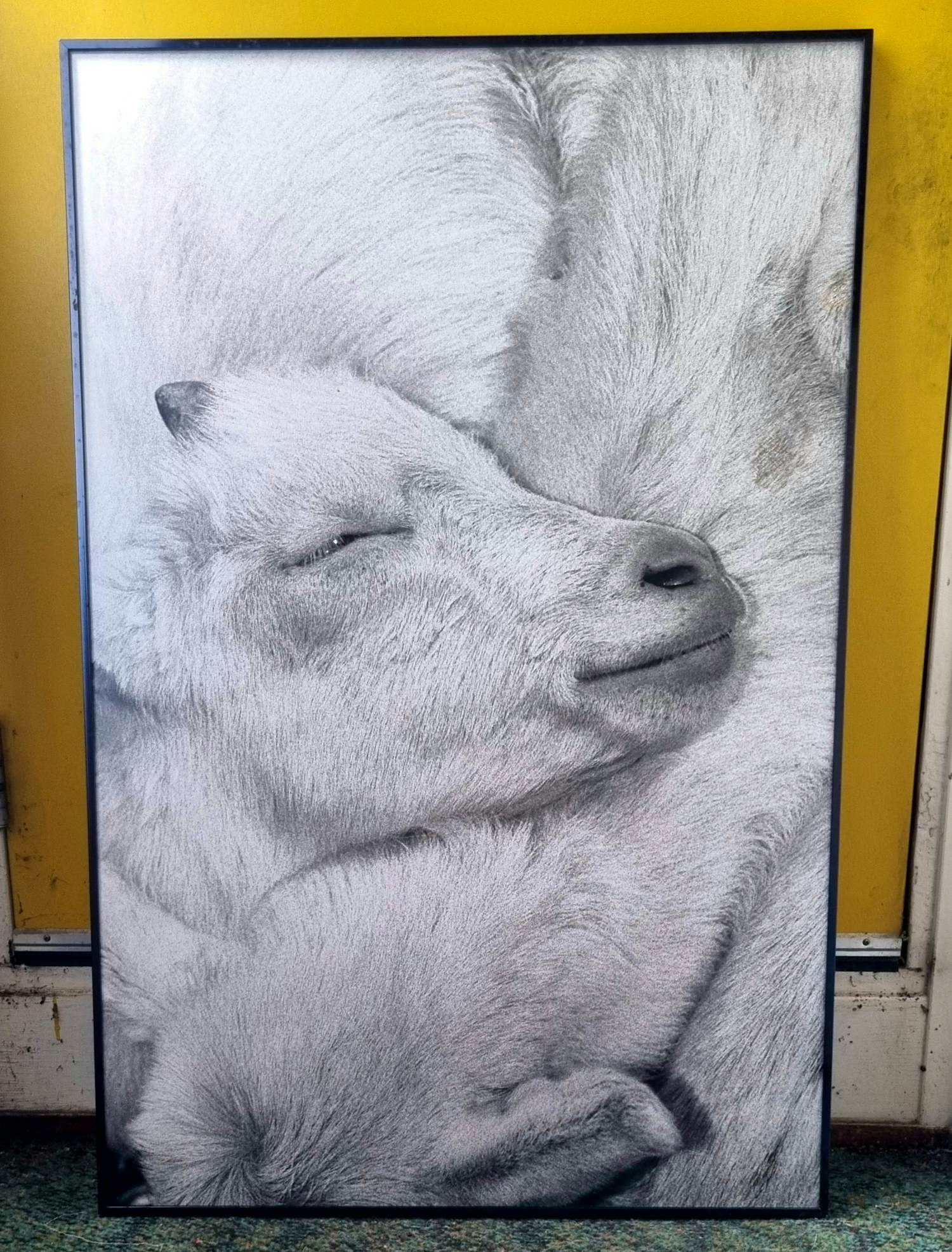 Laura Samsom-Rous - zonder titel kopen? Bied vanaf 60!