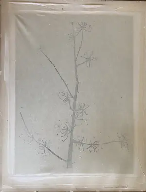 Akke Sins - bloesem (1969) kopen? Bied vanaf 60!