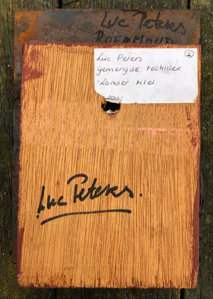 Luc Peters - 'zonder titel' kopen? Bied vanaf 30!