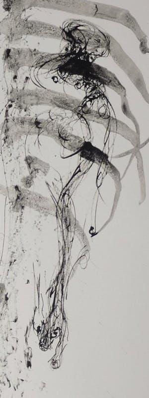 Marc Mulders - Anatomie VI (6) - Marc Mulders, Paul van Dongen en Reinoud van Vught, kopen? Bied vanaf 175!