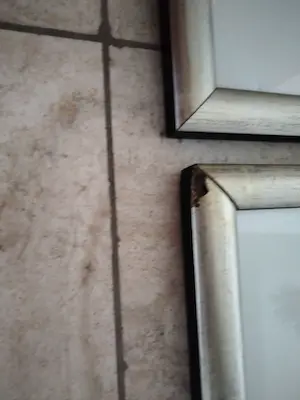 Corneille - Le midi/Le matin/Le Soir/La Nuit kopen? Bied vanaf 750!