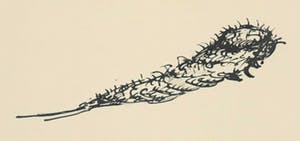 Melle Oldeboerrigter - Inkttekening op papier, Zonder titel kopen? Bied vanaf 1!