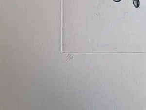 Jan Prins - Fascinerende - kleine oplage (8) - Ets "de onderdelen van een spin" gesigneerd kopen? Bied vanaf 1!