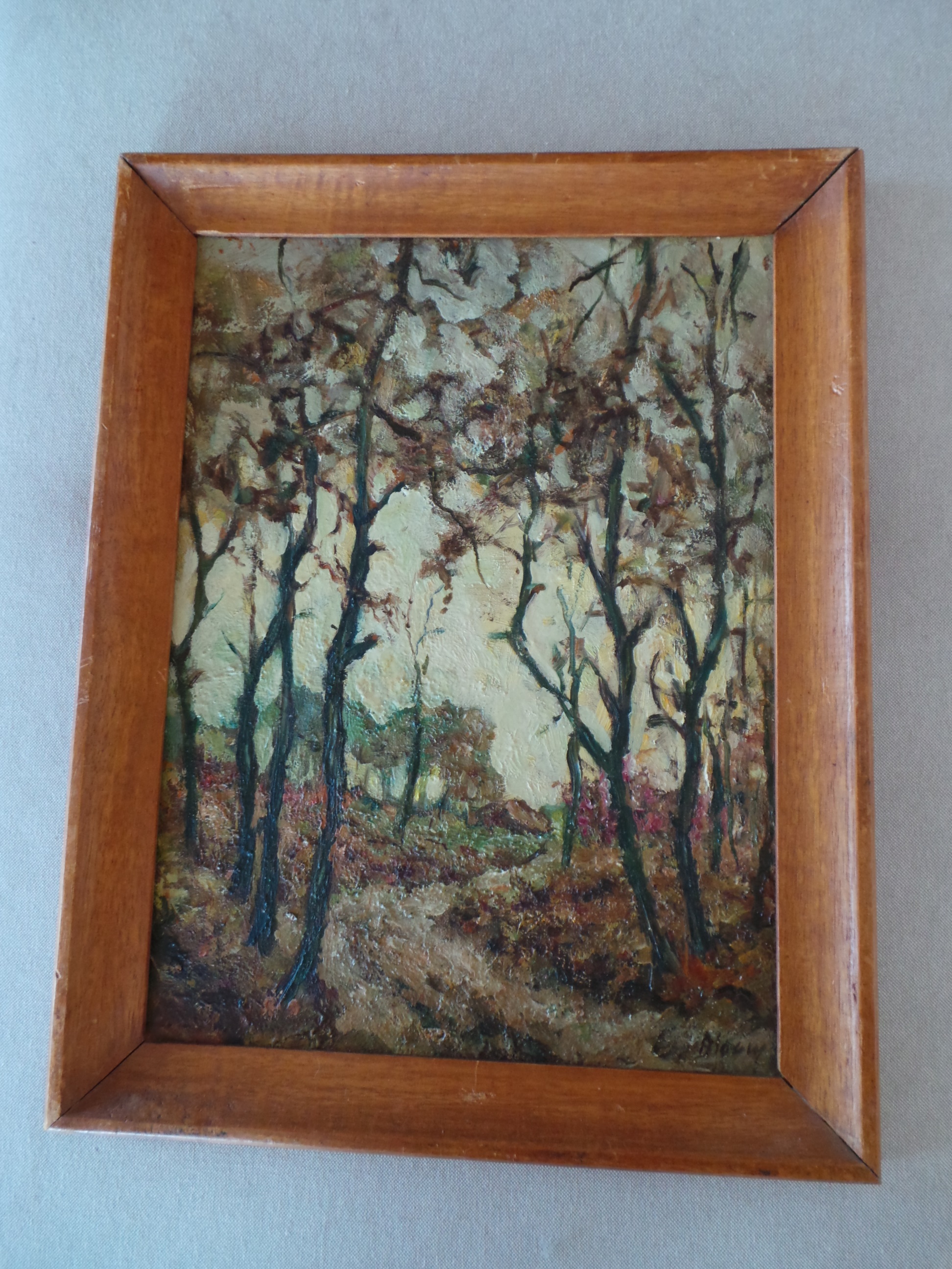 Niet of onleesbaar gesigneerd - Bosgezicht 20 eeuw kopen? Bied vanaf 1!