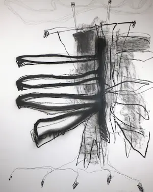 Erik Prins - Houtskool tekening, Grote stronk - Ingelijst kopen? Bied vanaf 100!