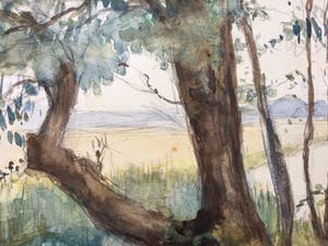 Willem Kooiman - Vier landschappen kopen? Bied vanaf 30!