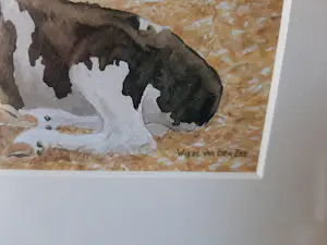 Wiebe A van der Zee - Wiebe A van der Zee - Zeefdruk, 2 kalveren. kopen? Bied vanaf 40!