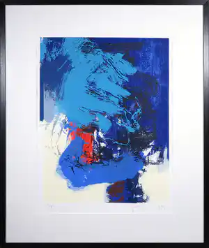 Robbert Fortgens - Zeefdruk, Vlag langs de Douro II - Ingelijst vendu pour 40€ !